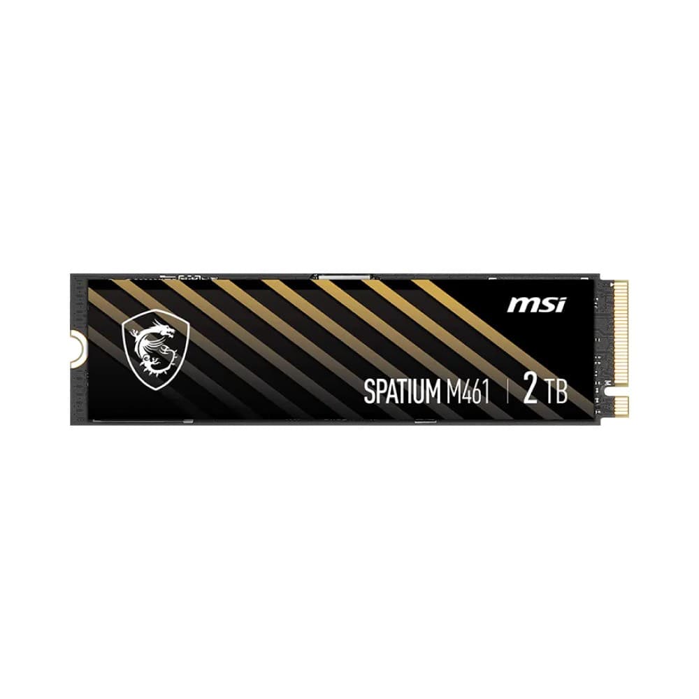 MSI SPATIUM M461 PCIe 4.0 NVMe M.2 2TB